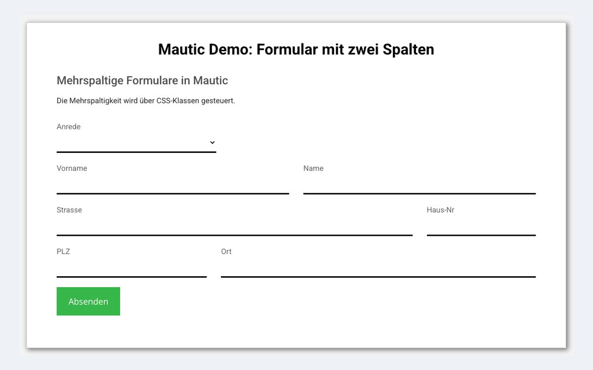Vorschau: Zweispaltige Formulare
